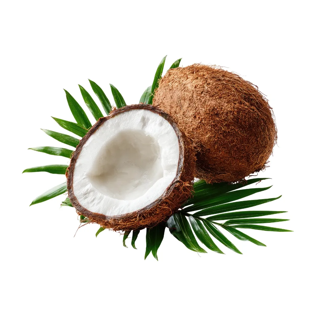 Dry coconut GPM Canadian Imports (3)