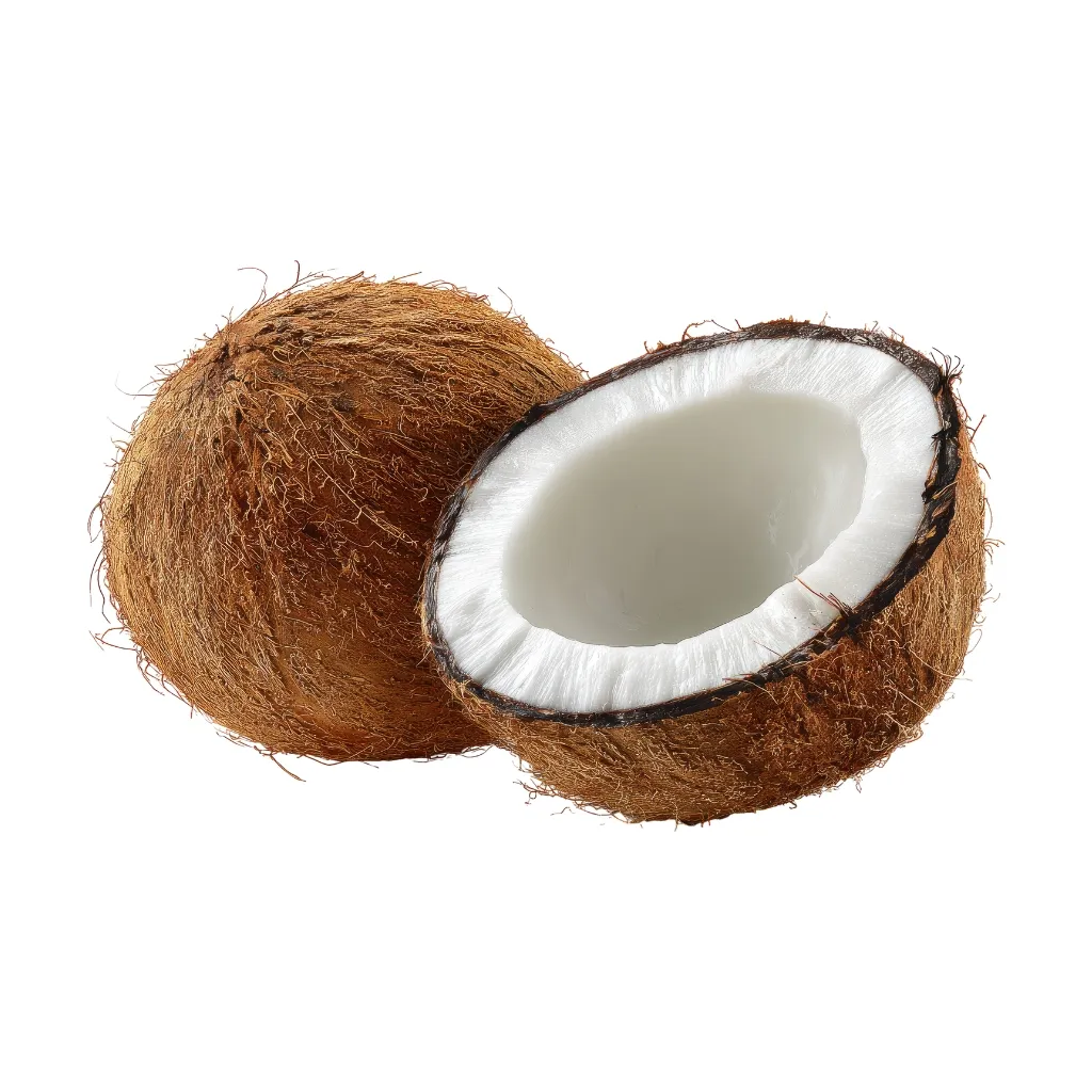 Dry coconut GPM Canadian Imports (4)