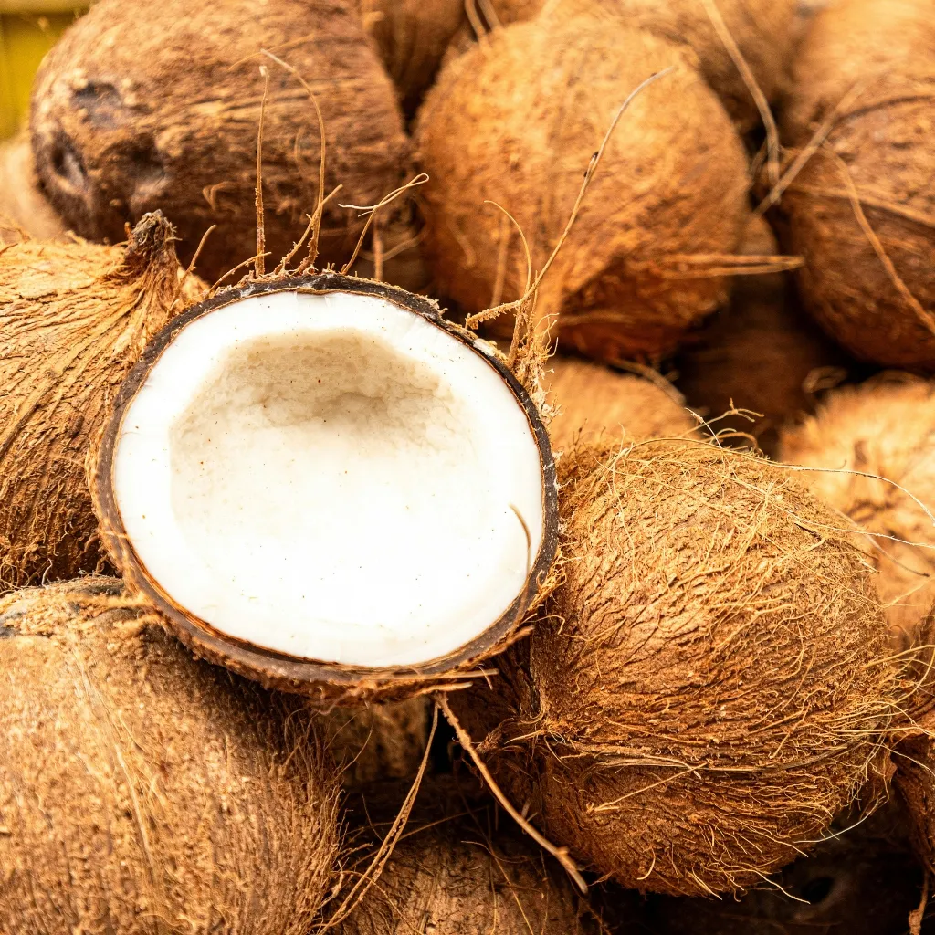 Dry coconut GPM Canadian Imports (5)