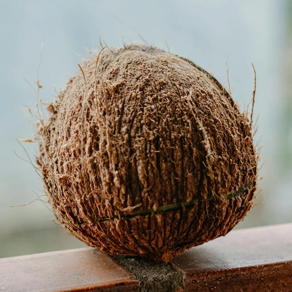 Dry coconut GPM Canadian Imports (6)